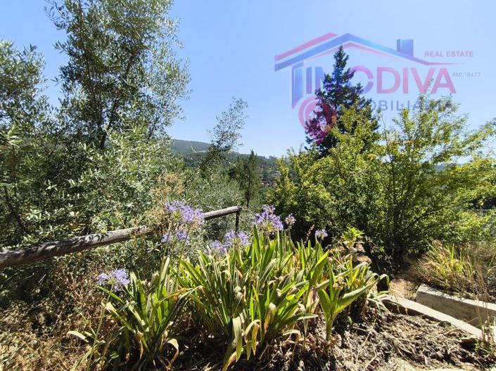 Image No.40-3 Bed House for sale