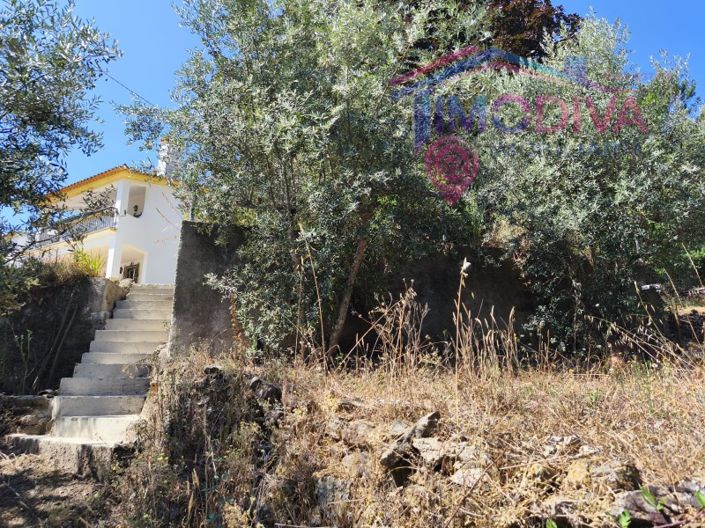 Image No.46-3 Bed House for sale