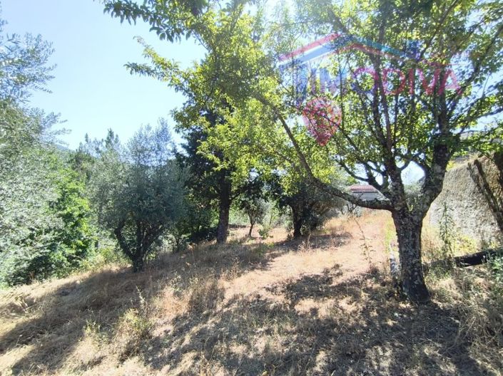 Image No.47-3 Bed House for sale