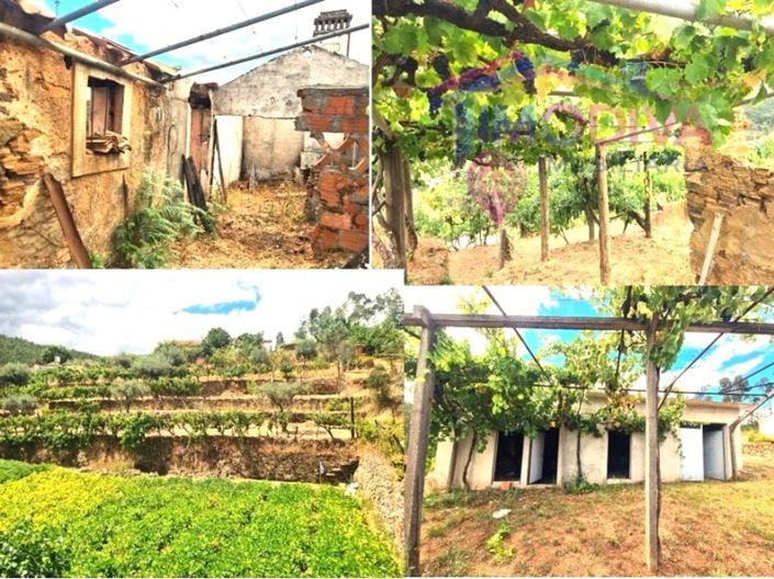 Rural farm with 4,848 m² | 2 urban plots + 2 rustic plots | Graça, Pedrógão Grande