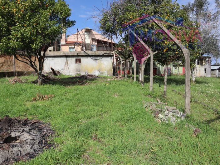 Image No.25-3 Bed House for sale