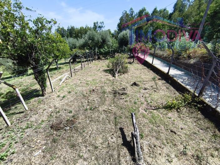 Image No.26-3 Bed House for sale