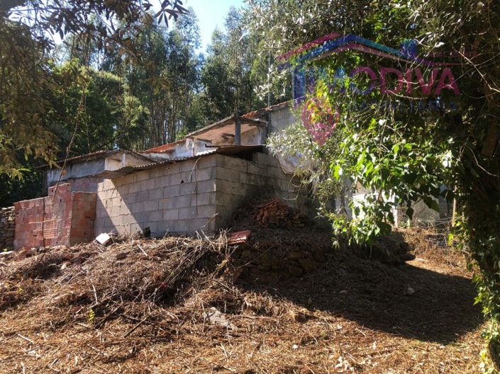 Image No.19-3 Bed House for sale