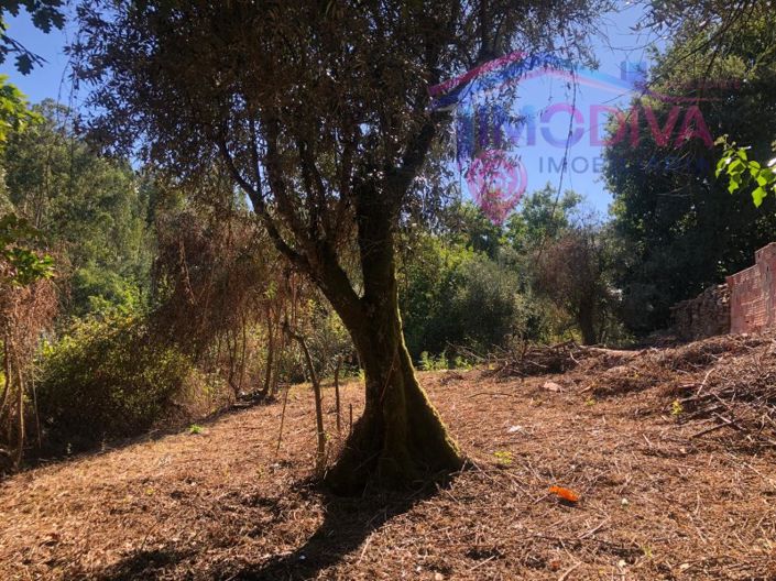 Image No.23-3 Bed House for sale