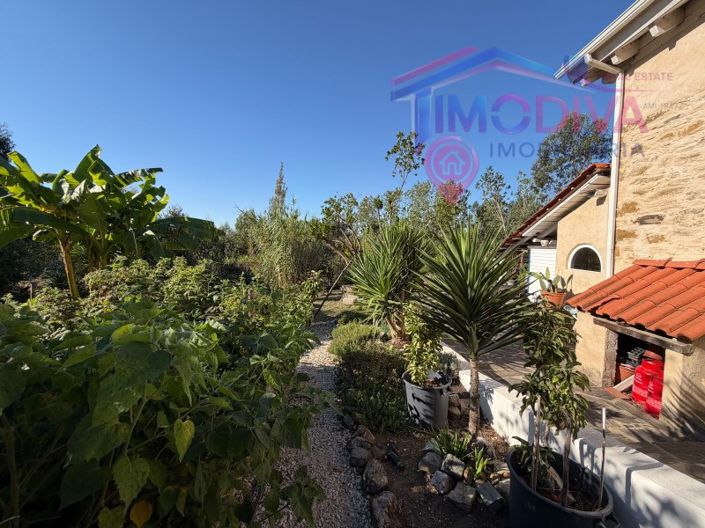 Image No.6-1 Bed House for sale