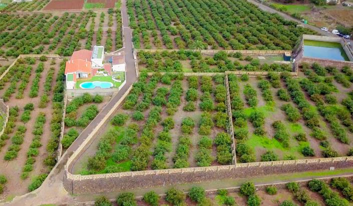 Image No.9-3 Bed Finca for sale