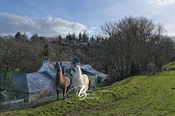Image No.6-Maison de 3 chambres à vendre à Clohars-Carnoet