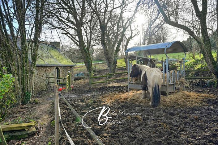 Image No.7-Maison de 3 chambres à vendre à Clohars-Carnoet