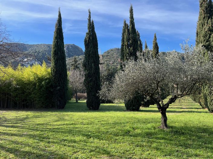 Image No.6-6 Bed House for sale