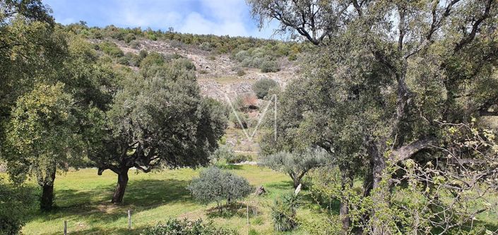 Image No.2-4 Bed House for sale