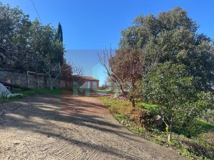 Image No.29-Maison de 2 chambres à vendre à Faro City