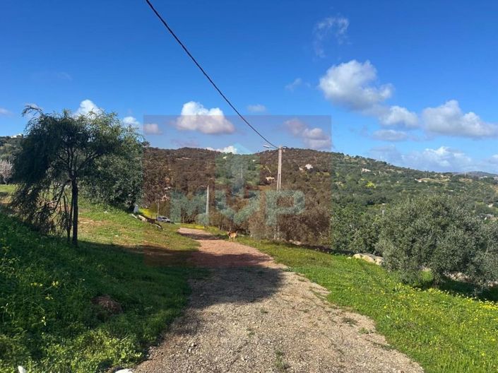 Image No.40-Maison de 2 chambres à vendre à Faro City