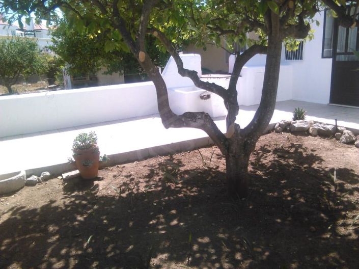 Image No.24-Maison de 4 chambres à vendre à Cabanas de Tavira