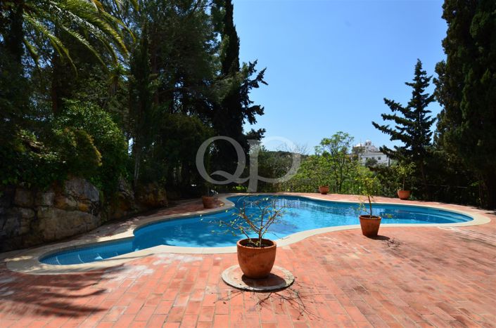 Image No.53-8 Bed House for sale