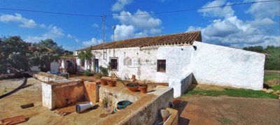 1 - Loule, House