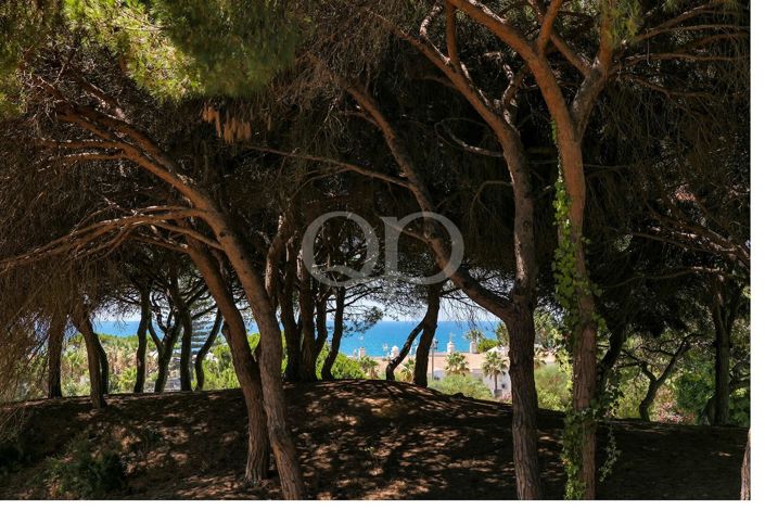 Image No.26-4 Bed House for sale