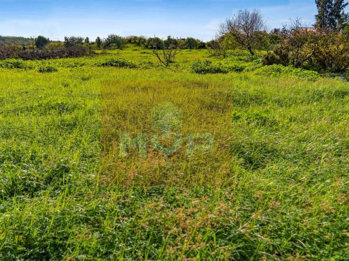 Image No.12-Maison à vendre à Faro City
