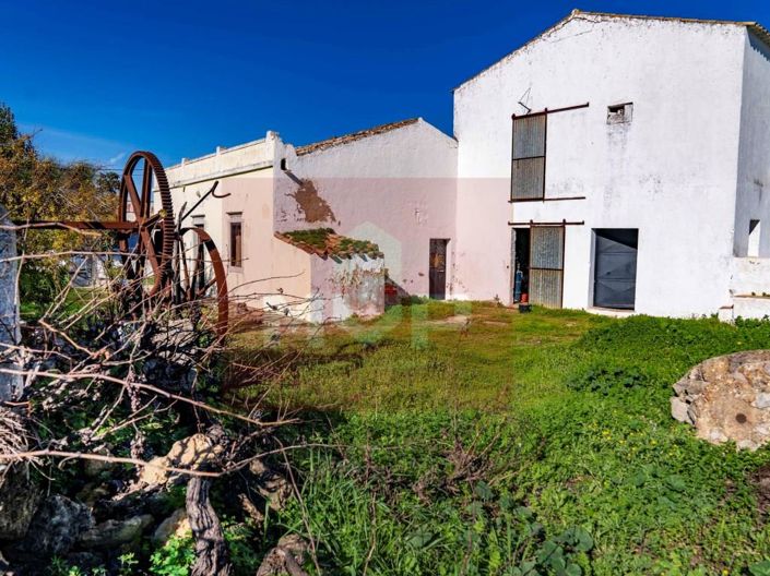 Image No.2-House for sale