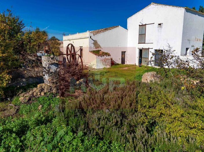 Image No.3-House for sale