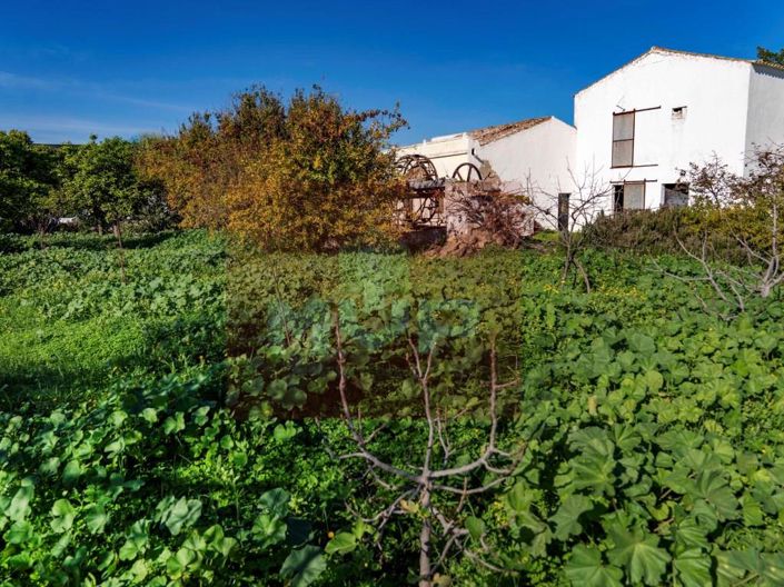 Image No.4-House for sale