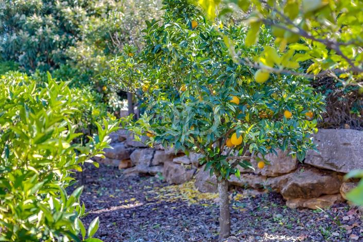 Image No.42-Maison de 3 chambres à vendre à Olhão