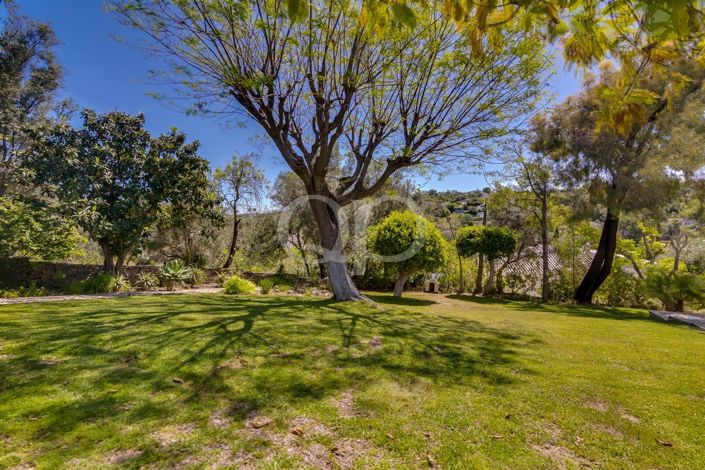 Image No.85-3 Bed House for sale