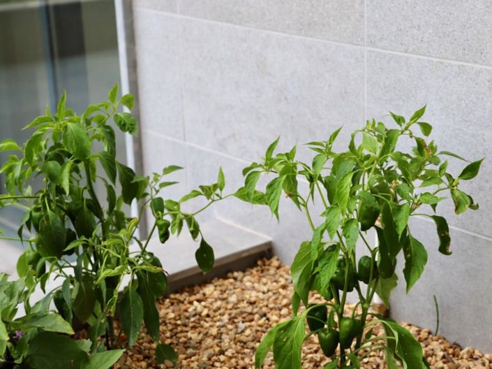 Image No.42-2 Bed Apartment for sale