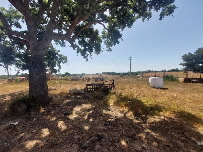 Image No.22-House for sale