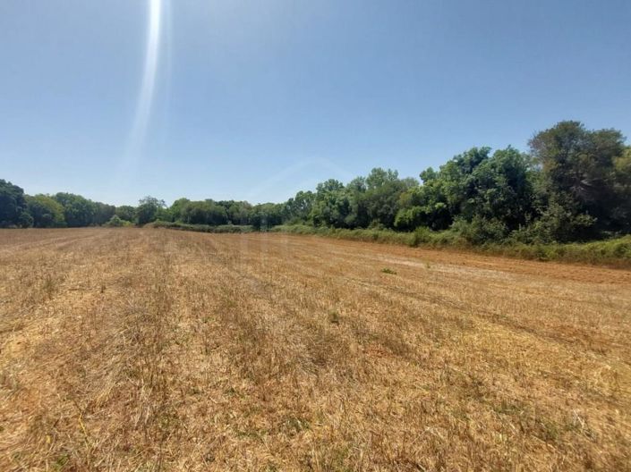 Image No.25-House for sale