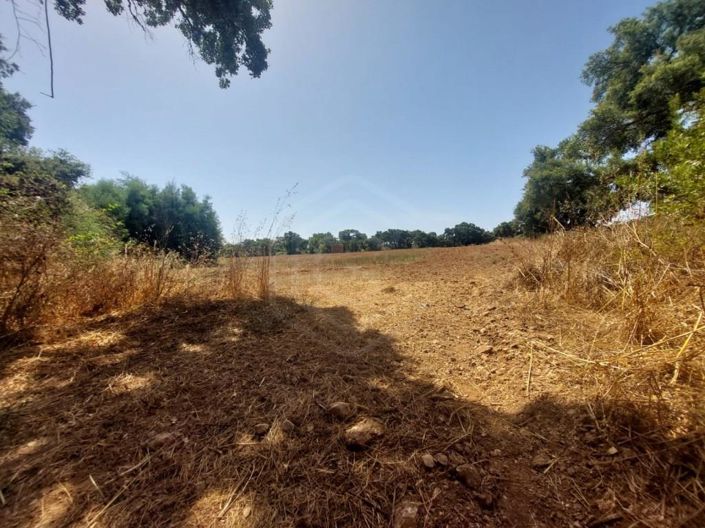 Image No.30-House for sale