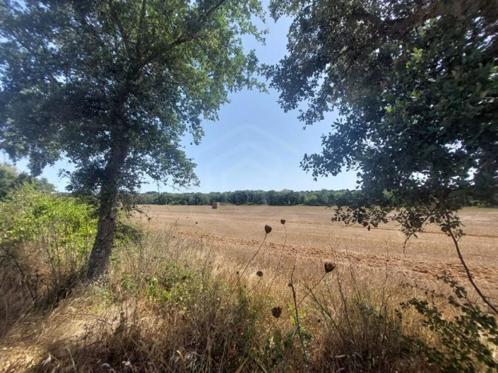 Image No.31-House for sale