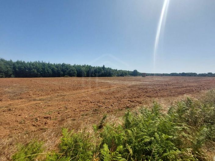 Image No.32-House for sale