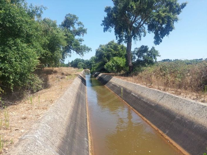 Image No.5-House for sale