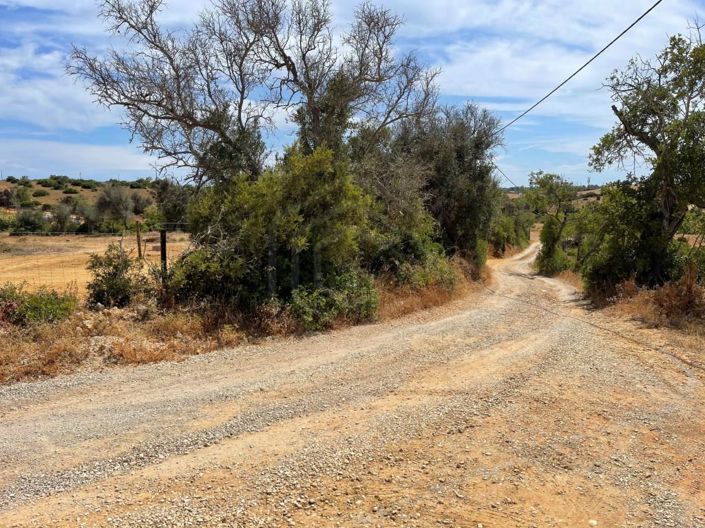 Image No.12-Maison de 3 chambres à vendre à Silves