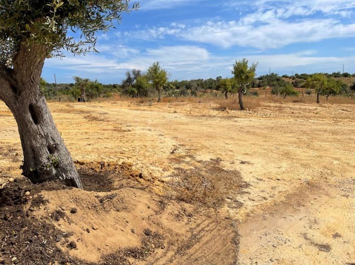 Image No.18-Maison de 3 chambres à vendre à Silves