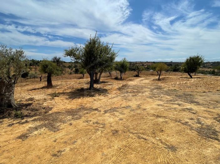 Image No.27-Maison de 3 chambres à vendre à Silves
