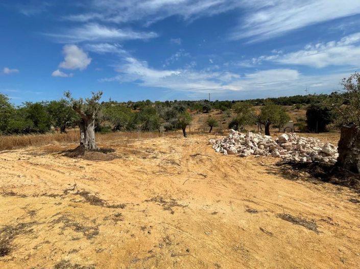 Image No.28-Maison de 3 chambres à vendre à Silves