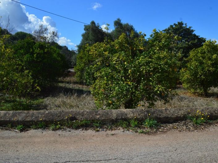 Image No.15-3 Bed House for sale