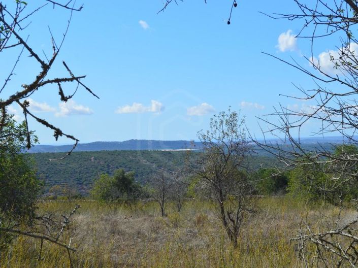 Image No.5-Maison de 3 chambres à vendre à Loule