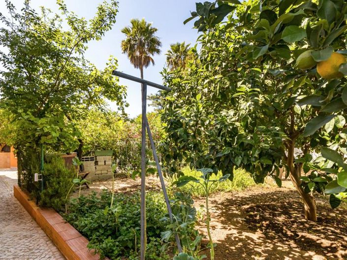 Image No.24-Maison de 4 chambres à vendre à Loule