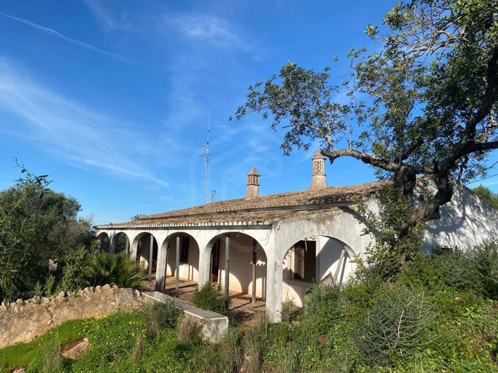 Image No.28-4 Bed House for sale