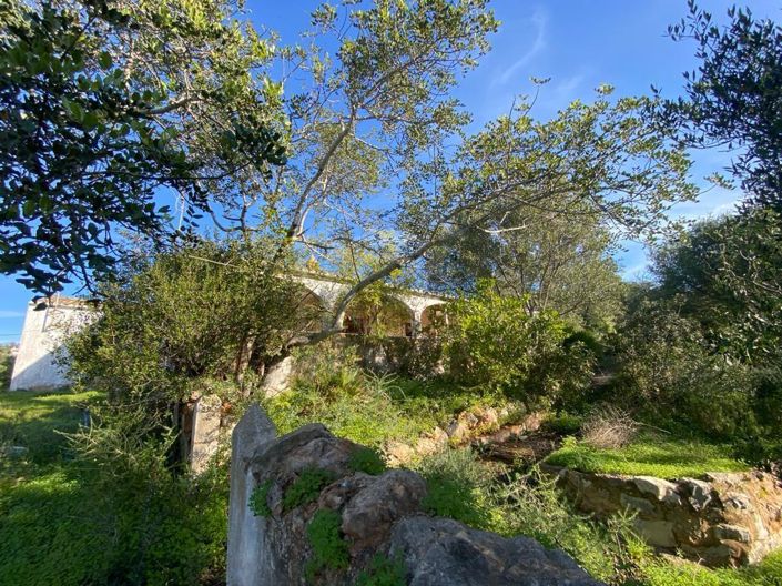 Image No.29-4 Bed House for sale