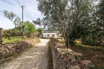 1 - Loule, House