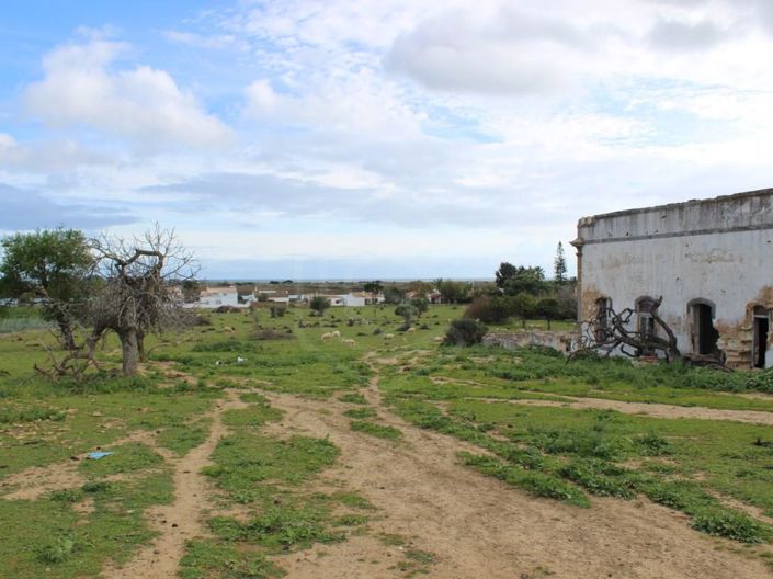 Image No.19-6 Bed House for sale