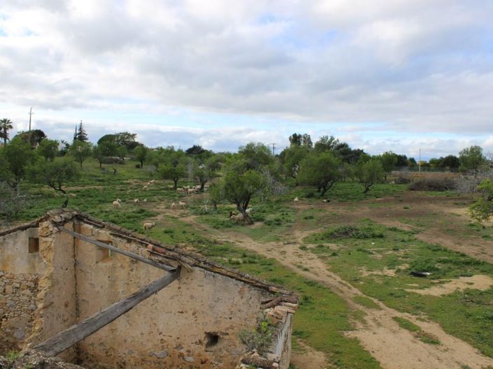 Image No.22-6 Bed House for sale