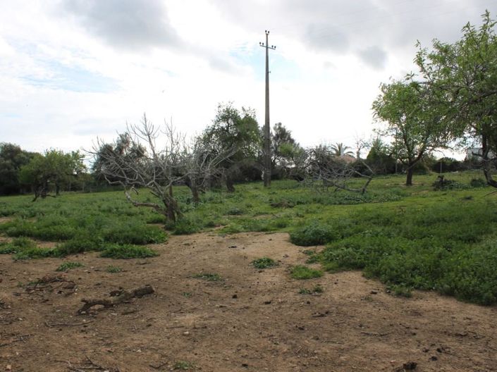 Image No.29-6 Bed House for sale