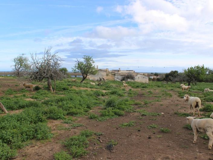 Image No.34-6 Bed House for sale