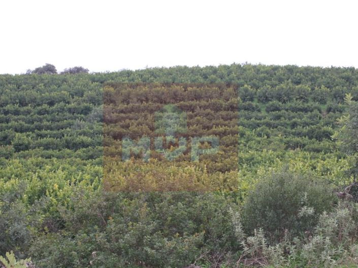 Image No.26-Maison à vendre à Tavira