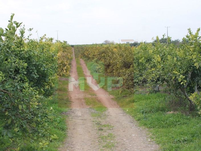 Image No.27-Maison à vendre à Tavira