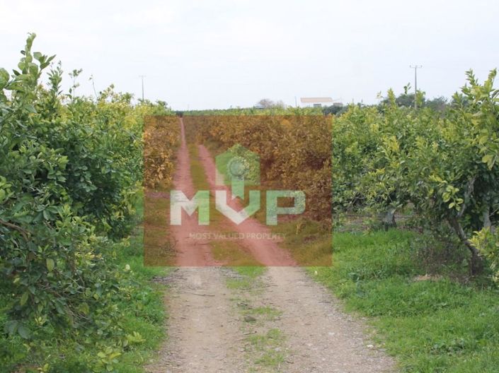 Image No.31-House for sale